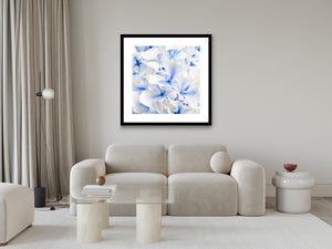 Hydrangea - Study 1