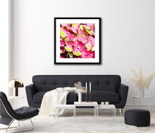 Load image into Gallery viewer, Hydrangea - Study 3
