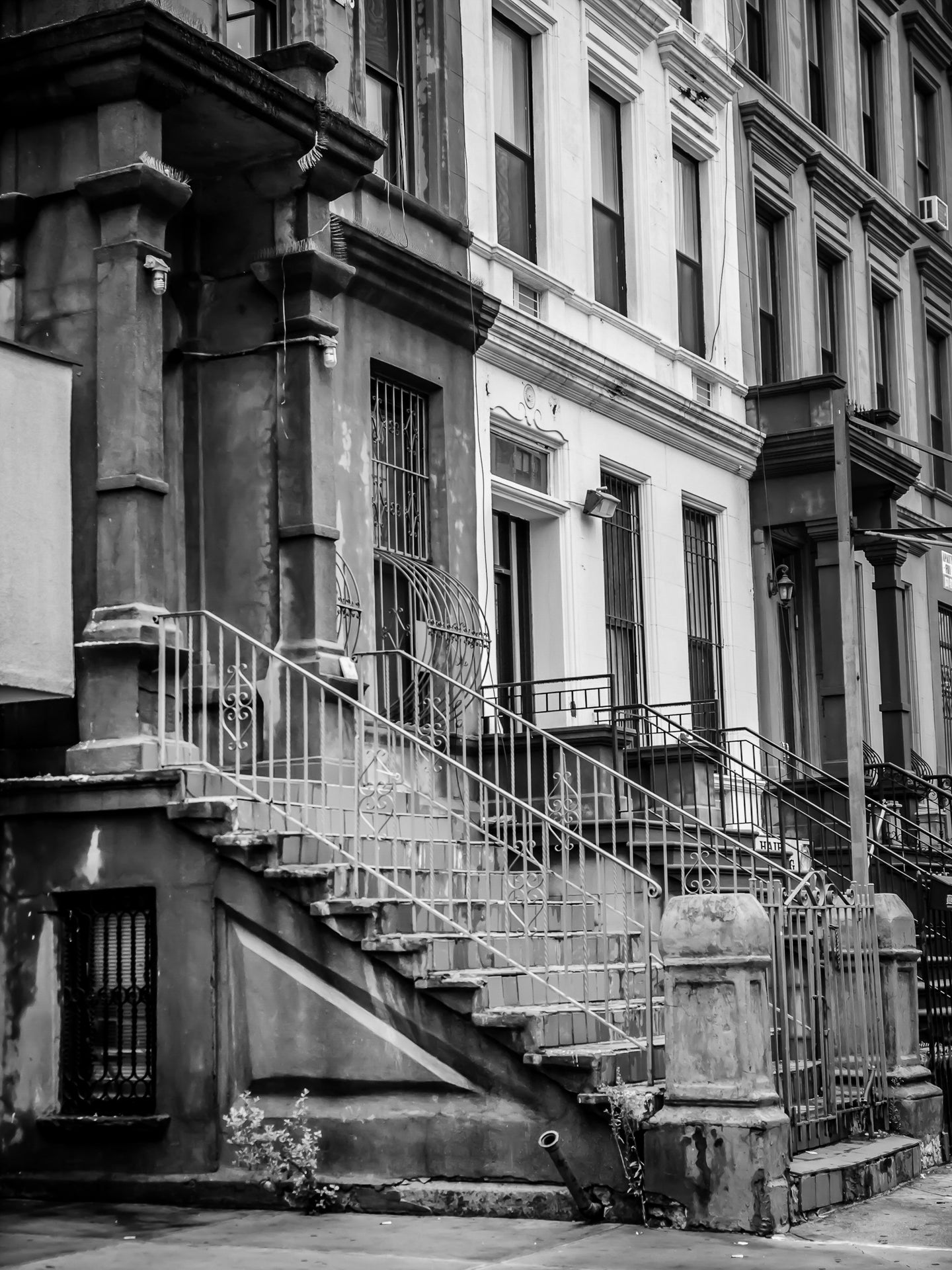 The Stoop